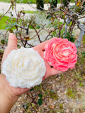 Small Rose Candle | Aromatic Rose that Smells like Rose  | Red Rose Scented Candle