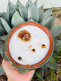 Iced vanilla woods candle